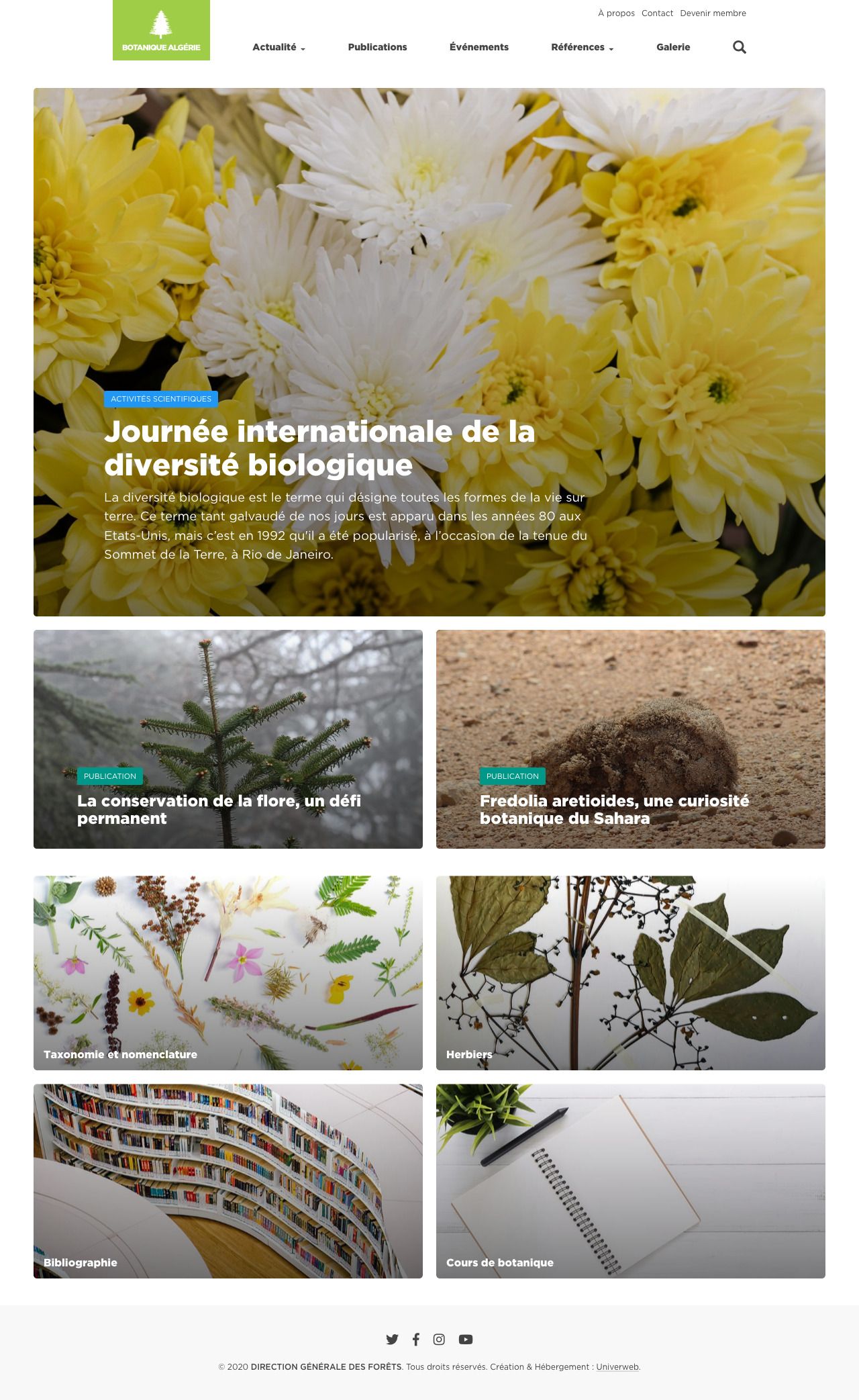 Un aperçu du site web de Botanique Algérie